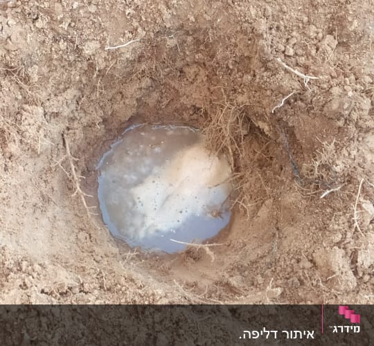 בור באדמה עם מים עומדים